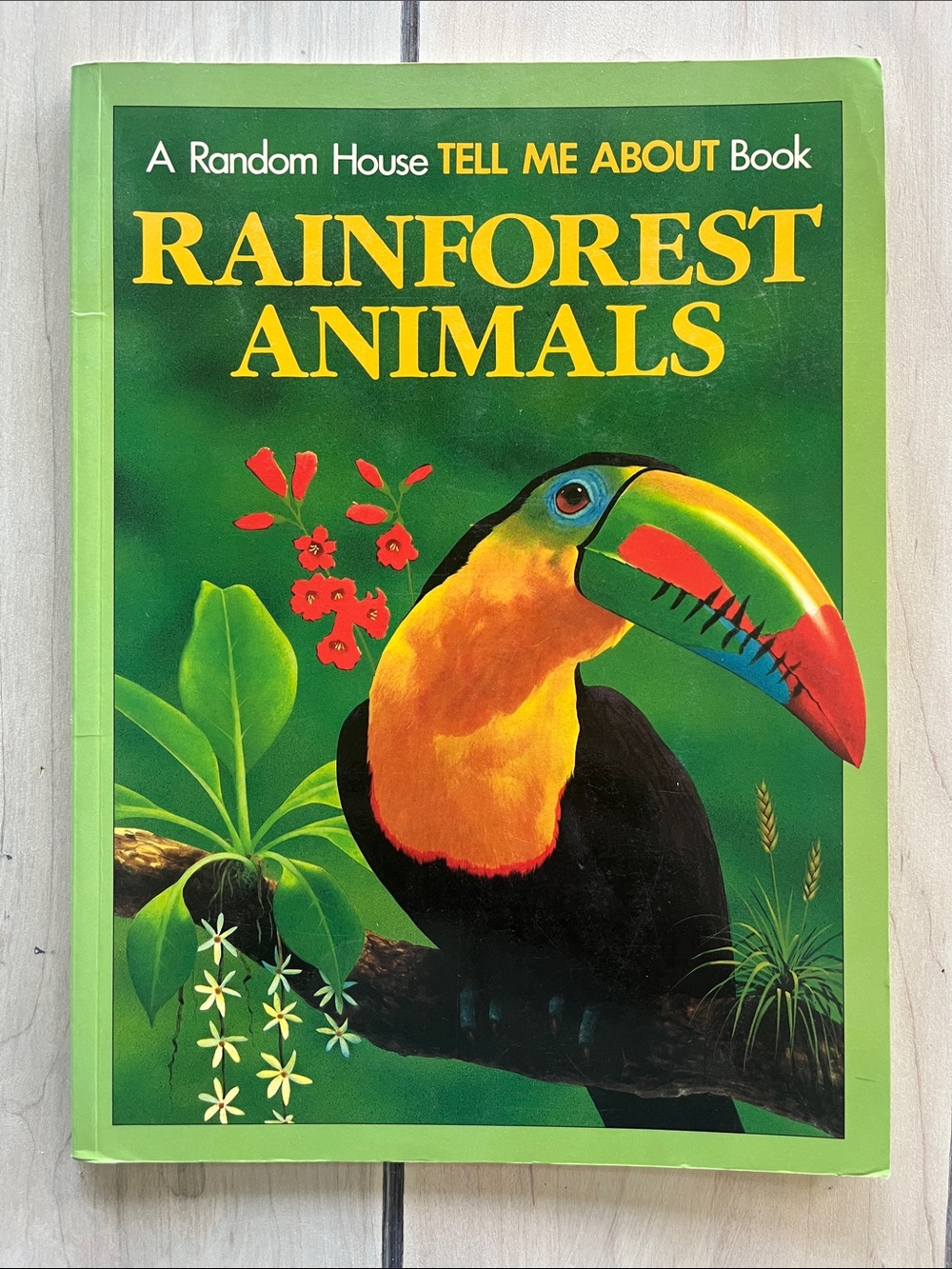 Rain Forest Book Bundle: The Great Kapok Tree, Rainforest Animals and Babies - Picture 7 of 8